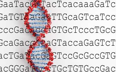 Kunnskapen om genenes oppbygging og funksjon har endret seg betydelig siden bioteknologiloven sist ble revidert. Utviklingen skjer i et tempo ingen kunne forutse for noen tiår siden. Illustrasjonsfoto: iStock