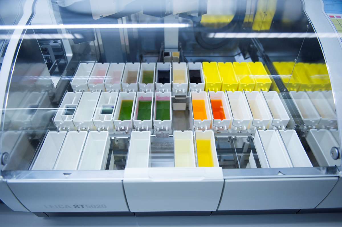 Farging av celleprøver