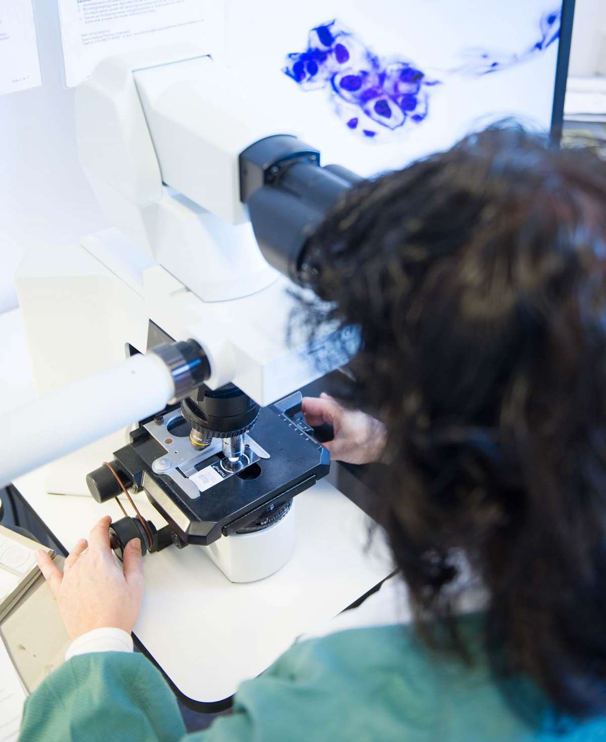Mikroskopering av celleprøver